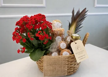 Adicional - Planta em pote kalandiva ou kaloche (1)